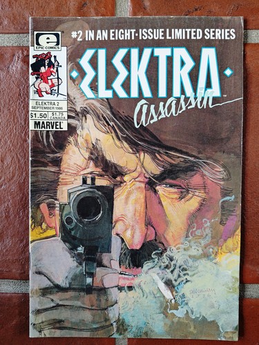 Elektra assassin - assassin,